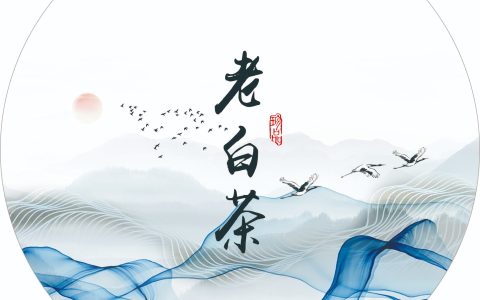 高级感拉满｜这款《老白茶》棉纸，把东方美学做进了包装里
