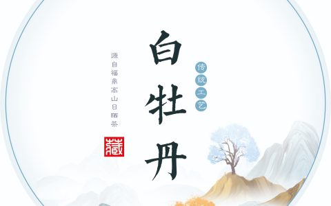 极简留白＋国风山水｜这款《白牡丹》棉纸太有高级感了